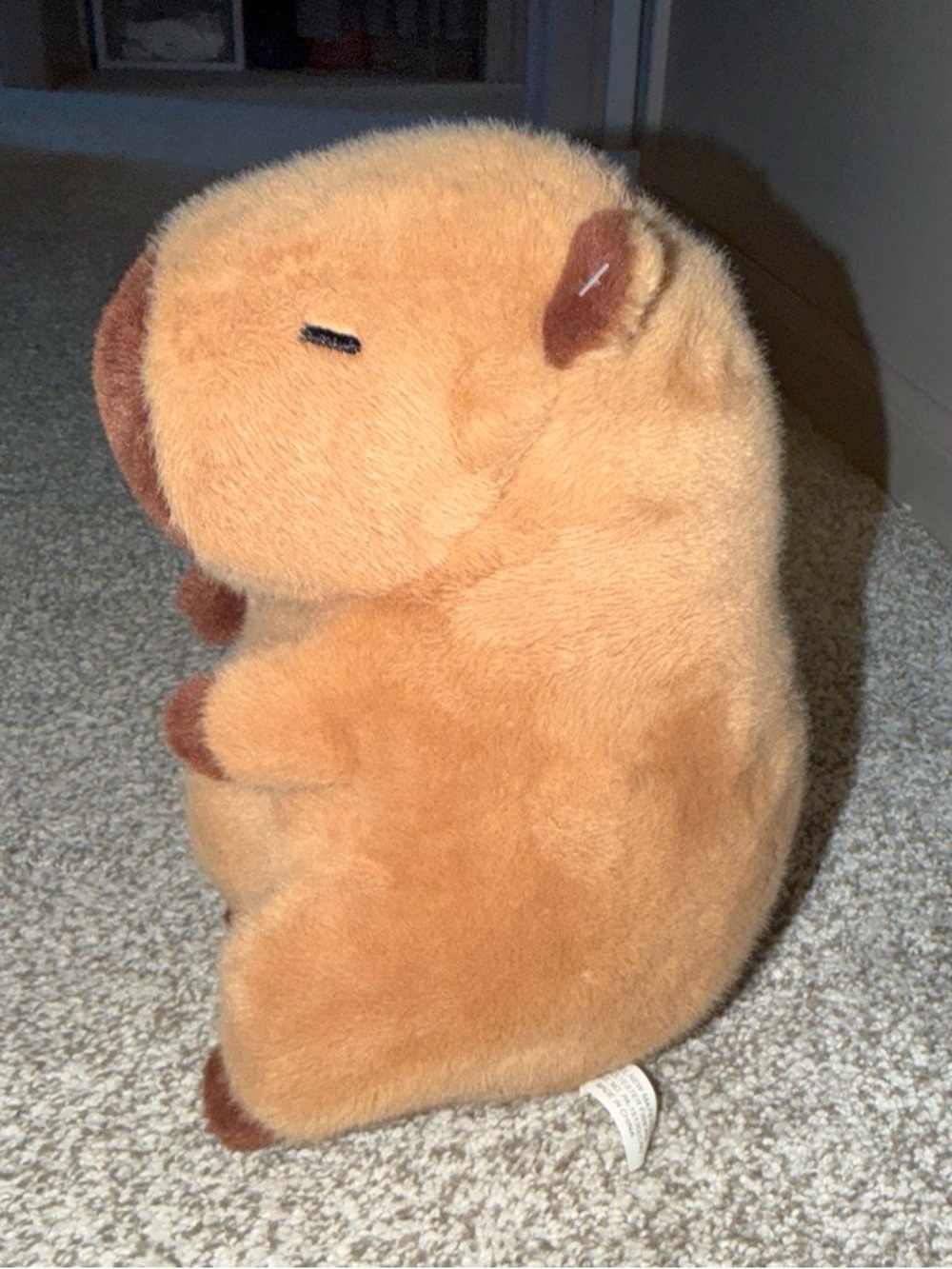 Hobby Lobby Plush Capybara Toy - Tan with Brown Accents